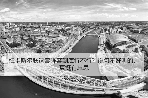 niu-ka-si-er-lian-zhe-tao-zhen-rong-dao-di-xing-bu-xing-shuo-ju-bu-hao-ting-de-zhen-ting-you-yi-si-2-958.jpg