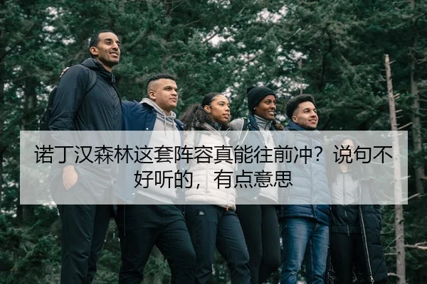 nuo-ding-han-sen-lin-zhe-tao-zhen-rong-zhen-neng-wang-qian-chong-shuo-ju-bu-hao-ting-de-you-dian-yi-si-2-352.jpg